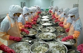 Thủy sản Minh Phú kháng cáo lệnh áp đặt thuế chống bán phá giá tôm của Mỹ