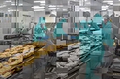 Mỹ giảm nhập khẩu thủy sản từ Việt Nam