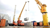 Nhận diện một số rủi ro pháp lý trong hoạt động xuất khẩu sang Hoa Kỳ