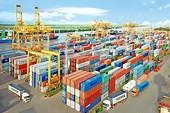 Doanh nghiệp xuất khẩu qua sàn thương mại điện tử: Không bỏ lỡ cơ hội lớn