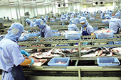 Trung Quốc siết chặt kiểm tra quá cảnh đối với thực phẩm đông lạnh nhập khẩu