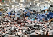 Nhiều khởi sắc cho xuất khẩu cá tra