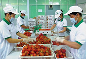 Xuất khẩu sang khu vực Á-Âu tăng trưởng gần 18%