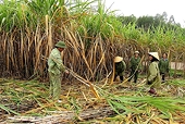 Phòng vệ thương mại đường: Công cụ hợp pháp bảo vệ sản xuất trong nước