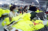 Chủ động phòng vệ, khai thác lợi ích EVFTA