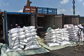 Xuất khẩu nông sản Việt giảm hơn một nửa vì thiếu... container