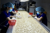 Năm 2021, xuất khẩu điều hướng đích 4 tỷ USD