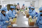 Kim ngạch xuất khẩu lập đỉnh mới