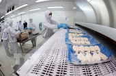 Năm 2021, xuất khẩu tôm kỳ vọng sẽ khởi sắc