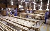 Kiểm soát rủi ro trong xuất, nhập khẩu mặt hàng gỗ