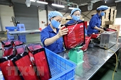 Xuất khẩu của Việt Nam sang Israel tiếp tục hồi phục trong năm 2020