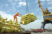 Hàn Quốc chính thức áp thuế 513% gạo nhập khẩu ngoài hạn ngạch