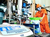 Xuất khẩu thức ăn chăn nuôi được dự báo sẽ sớm cán mốc tỷ USD