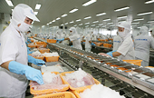 Châu Mỹ tăng nhập khẩu hàng hóa Viêt Nam