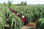 Xuất khẩu bứt tốc đầu năm 2021