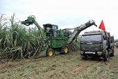 Áp thuế chống bán phá giá đường Thái, đường Việt tăng sức bật