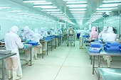 Gần 700 doanh nghiệp đủ điều kiện xuất khẩu thủy sản vào Đài Loan