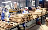 Tổng cục Thống kê lý giải xuất khẩu gỗ tăng đột biến