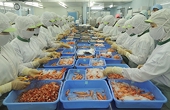 Phòng vệ thương mại trong ngành thủy sản: Sẵn sàng đấu tranh vì lợi ích chính đáng của doanh nghiệp