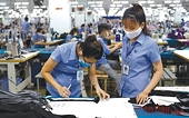 Đơn hàng tăng trở lại, dệt may kỳ vọng vượt khó