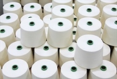 Gia hạn thời hạn điều tra chống bán phá giá sợi dài làm từ polyester
