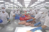 10 năm tới, xuất khẩu thuỷ sản Việt Nam sẽ tăng thêm hơn 7 tỉ đô la Mỹ