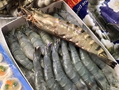 Xuất khẩu sang EU đạt hơn 15 tỉ USD sau 5 tháng thực thi EVFTA