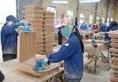 Phải minh bạch hóa nguyên liệu gỗ chế biến
