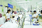 Thực thi UKVFTA: Xuất khẩu vào Anh khởi sắc rõ rệt