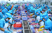 Tận dụng ưu đãi thuế quan từ CPTPP: Doanh nghiệp FDI tối ưu hóa cơ hội tốt hơn