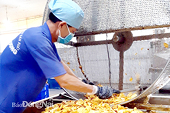 Hàng Việt cần vượt qua rào cản kỹ thuật để hội nhập