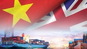 UKVFTA có hiệu lực - Hàng Việt xuất khẩu vào Anh nhiều khởi sắc