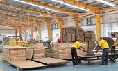 Tiềm ẩn nguy cơ lẩn tránh xuất xứ để xuất khẩu