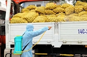 Thiếu kho đông lạnh, xuất khẩu nông sản gặp khó