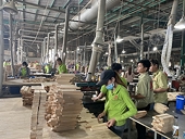 Xuất khẩu gỗ và sản phẩm gỗ sang Mỹ tăng tới 95,4%