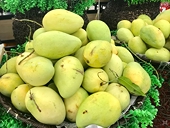 Xuất khẩu rau quả vượt bão dịch, tăng tốc trở lại tại các thị trường