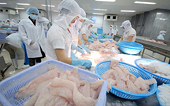 Xuất khẩu cá tra sang EU chưa thoát khỏi mức âm