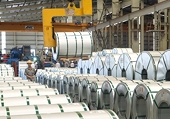 Nhật Bản chính thức nộp đơn khiếu nại Trung Quốc lên WTO