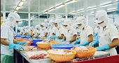 Hỗ trợ doanh nghiệp nâng cao năng lực ứng phó kiện phòng vệ thương mại