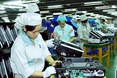 Tận dụng cơ hội từ EVFTA, mở rộng các mặt hàng xuất khẩu sang Áo