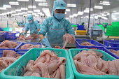 Mỹ công bố 2 doanh nghiệp cá tra Việt Nam được hưởng thuế suất 0%