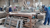 Đồ nội thất bằng gỗ của Việt Nam đang chiếm lĩnh thị trường Mỹ