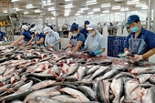 25 doanh nghiệp xuất khẩu cá tra bỏ cuộc chơi tại thị trường EU