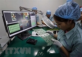 Gian lận xuất xứ nhằm vào hàng hóa xuất khẩu từ Việt Nam đang tăng