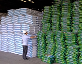 Xuất khẩu phân bón nhiều lần bị kêu dừng nhưng vẫn khó đi vào thực tế