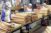 Cần giải pháp hữu hiệu ngăn chặn nguy cơ gian lận xuất xứ, lẩn tránh thuế