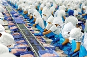 Xuất khẩu thủy sản khó duy trì đà tăng trưởng do COVID-19 và thẻ vàng IUU
