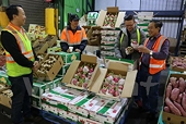 Thanh long Việt Nam mở bán tại siêu thị Australia