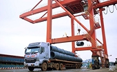 Xi măng, sắt thép tăng trưởng xuất khẩu giữa đại dịch