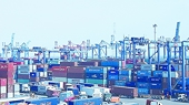 Hỗ trợ thông quan nhanh hàng hóa giữa cao điểm dịch Covid-19